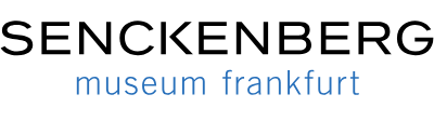 Senckenberg Museum Frankfurt